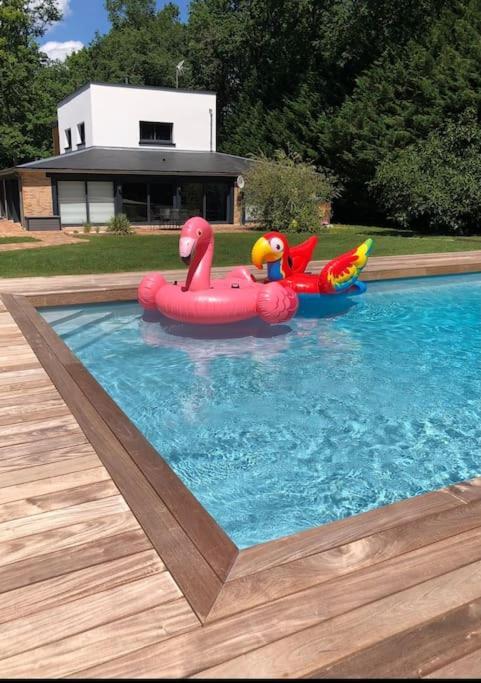 Magnifique Villa Avec Piscine En Sologne Vouzeron Zewnętrze zdjęcie